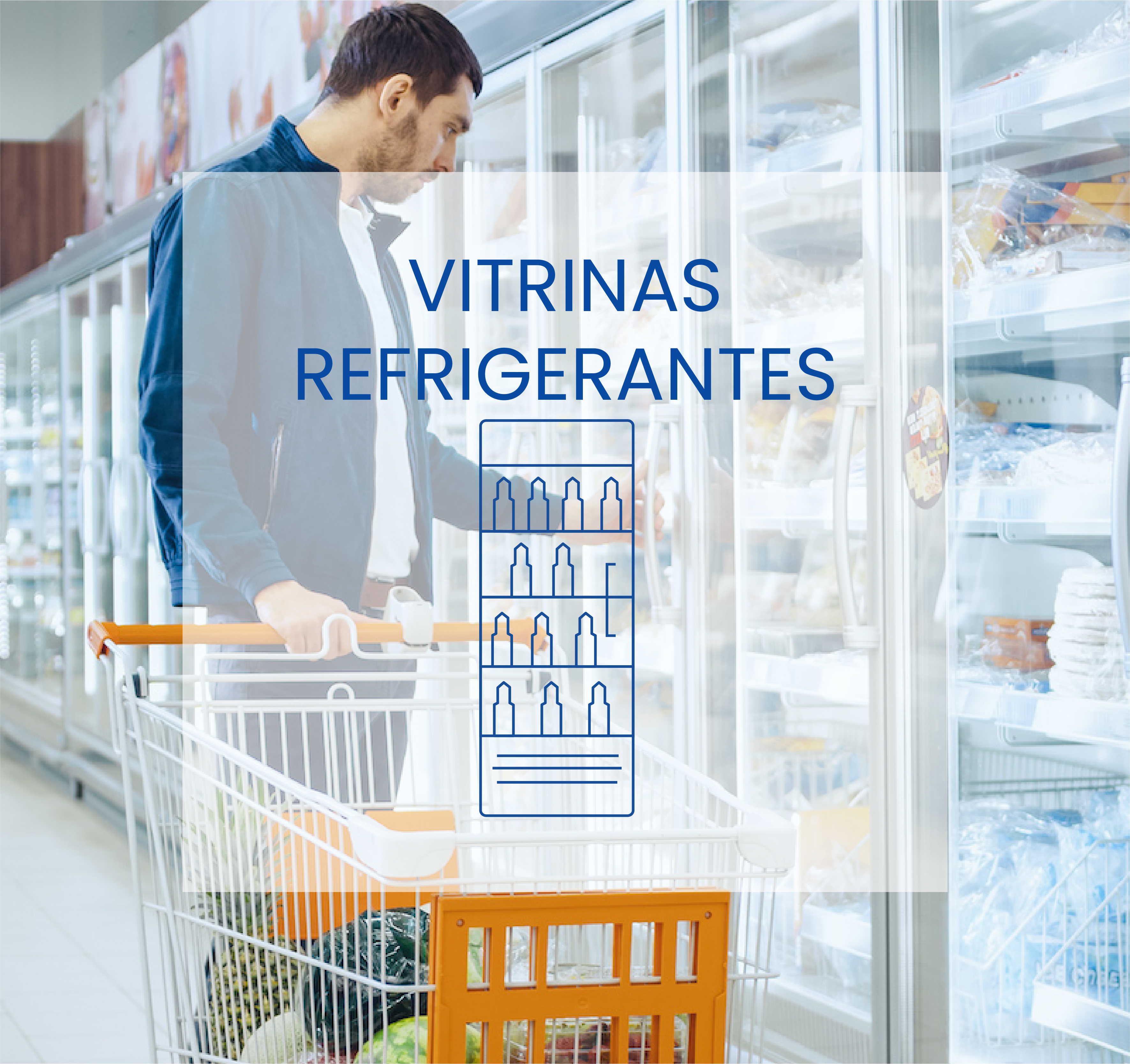 VITRINAS REFRIGERANTES